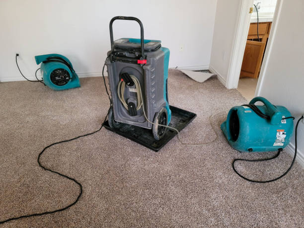 Best Professional water damage repair  in Marysville, KS