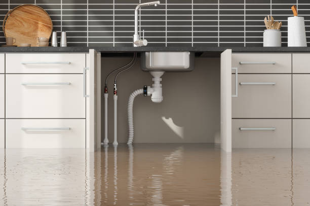 Best Carpet water damage restoration  in Marysville, KS